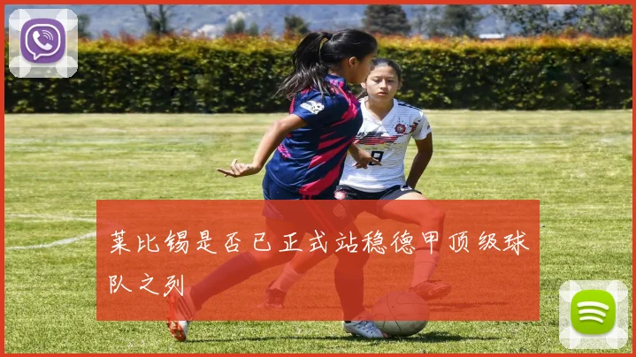 莱比锡是否已正式站稳德甲顶级球队之列