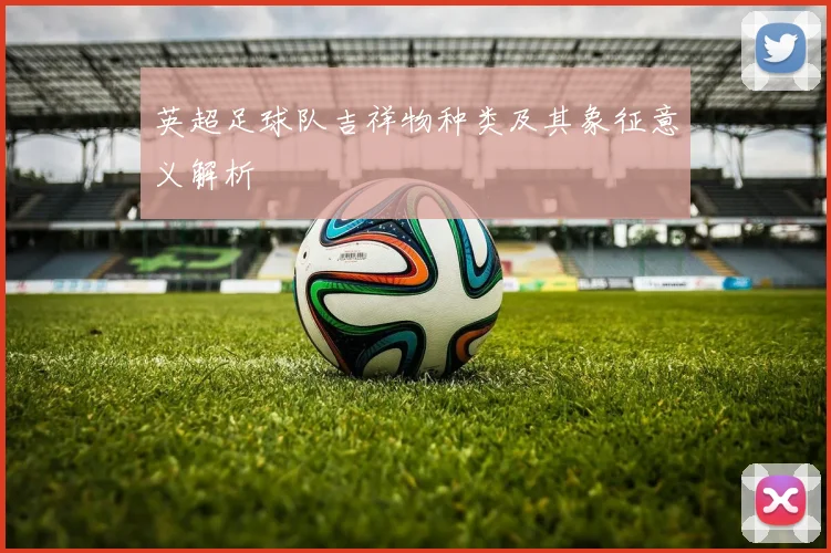 英超足球队吉祥物种类及其象征意义解析